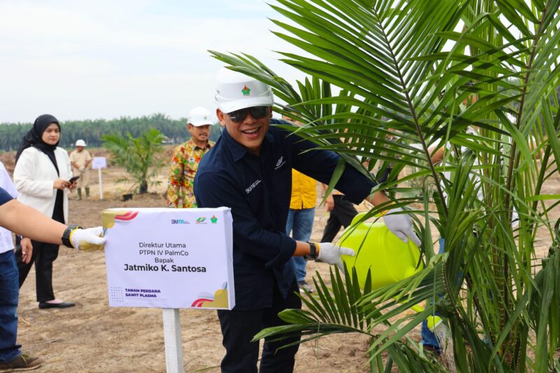 Direktur Utama PTPN IV PalmCo Jatmiko Santosa menanam bibit sawit unggul bersertifikat dalam kegiatan panen perdana program peremajaan sawit rakyat belum lama ini. Jatmiko menekankan bahwa meningkatkan produktivitas dan kesejahteraan petani melalui program PSR maupun penyediaan bibit sawit unggul bersertifikat merupakan wujud untuk terus tumbuh dan berkembang bersama petani.(AVID/ist)