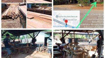 Dugaan Penimbunan dan Pengolahan Kayu Ilegal di Balai Berkuak Viral di Medsos, Warga Soroti Sosok “Akau” yang Disebut Kebal Hukum