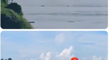 Kembali Exsis Aktivitas PETI di Entabuk Sekadau,Kapolsek Setempat Diduga Ternak PETI