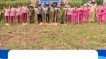 Wakil Bupati Karo Hadiri Panen Raya Jagung Serentak Dukung Swasembada Pangan Tahun 2026