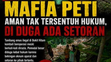 Mafia PETI Bukit Hitam Aman Tak Tersentuh Hukum, Di Duga Ada Setoran dan Diduga Ada Keterlibatan Oknum APH