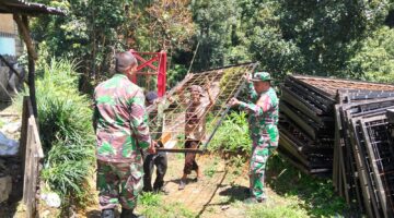 Aksi TNI dan Warga Angkut Besi Jembatan Seberangi Sungai Lae Kombih, Harapan Baru untuk Dusun Cubancer