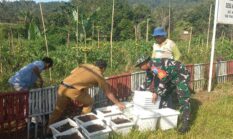 berita-pilihan-foto