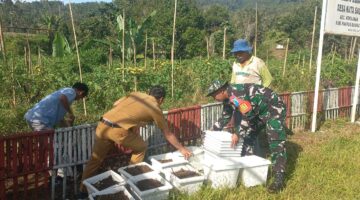 Babinsa dan Kades Kompak Siapkan Kebun TOGA di Kantor Desa, Warga Kuta Saga Diajak Mandiri Obat Herbal