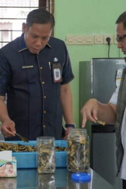 berita-rekomendasi-foto