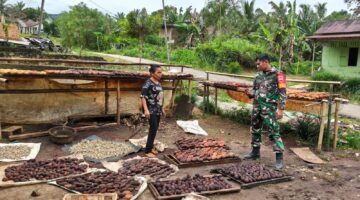 Harga Gambir Anjlok, Babinsa Koramil 06/Kerajaan Dengarkan Jeritan Petani di Pakpak Bharat