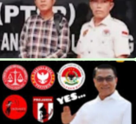 foto slider headline