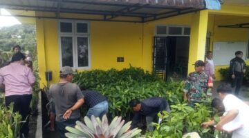 Warga Salak II Antusias Terima Bibit Cacao, Babinsa Sebut Ini Langkah Perkuat Ketahanan Ekonomi Desa