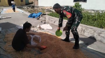 Tak Sekadar Patroli, Babinsa Ini Temani Warga Jemur Jagung hingga Dengarkan Keluh Kesah Petani
