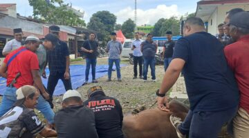 Polres Karo Salurkan Hewan Kurban untuk Masyarakat di Hari Raya Idul Adha 1447 H