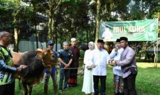 berita-pilihan-foto