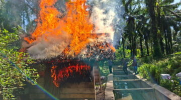 Polres Simalungun Gerebek Sarang Narkoba Di Tanah Jawa, Lima Tersangka Diringkus Dan 99,74 Gram Sabu Disita