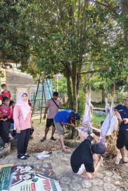 berita-rekomendasi-foto