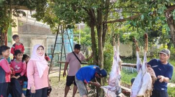 Momentum Idul Adha, SDN Talok 02 Wujudkan Pendidikan Karakter Melalui Qurban
