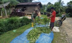 berita-pilihan-foto