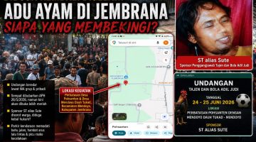 Diduga Kembali Digelar Lebih Meriah, Aktivitas Adu Ayam di Jembrana Picu Pertanyaan Publik: Siapa yang Membekingi?