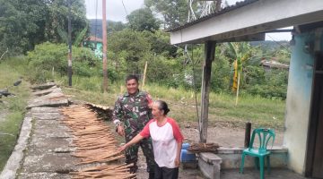 Sentuhan Humanis Babinsa Koramil 07/Salak, Menyapa Warga yang Menjemur Kayu Manis di Desa Binaan