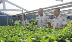 berita-pilihan-foto
