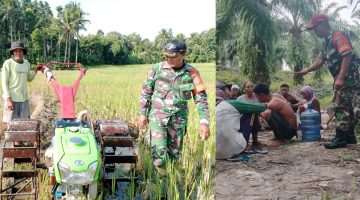 Babinsa Abdul Halim Dampingi Petani Desa Tetaan, Wujudkan Pertanian yang Mandiri dan Produktif