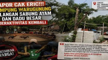 Lapor Cak Eric!!! Kampung Warugunung Kalangan Sabung ayam dan dadu Besar Beraktivitas Kembali