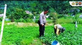 Oplus_131072