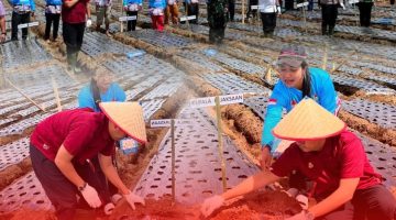 Kejari Karo Kawal Penanaman Bawang Putih Serentak di 17 Provinsi Demi Swasembada Pangan 2026