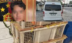 berita-pilihan-foto