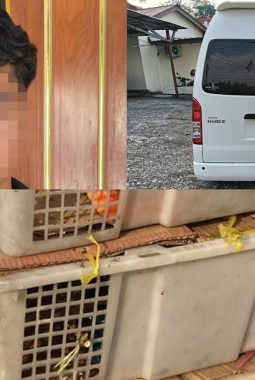 berita-rekomendasi-foto