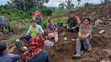 Istirahat Sejenak di Tengah Ladang, Babinsa Tigalingga Sambangi Petani Jagung di Gunung Meriah