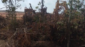 PTBA RAMPAS PERKEBUNAN RAKYAT DESA DARMO MENGGUSUR TANPA GANTI RUGI ALA PKI