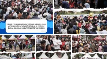 Ribuan Pengunjung Padati Taman Mejuah-Juah, Antusiasme Masyarakat Meledak di Festival Bunga dan Buah Kabupaten Karo Tahun 2026