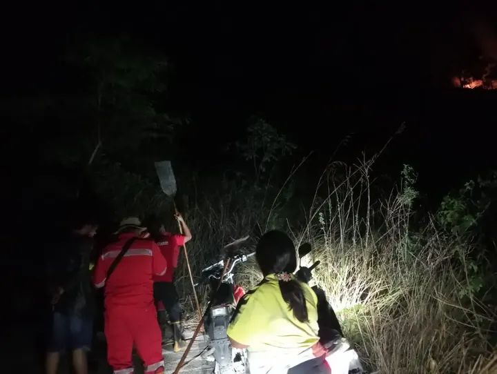 Kebakaran Hutan 1,5 Hektare di Perbukitan Suhi-Suhi Karo Berhasil Dipadamkan