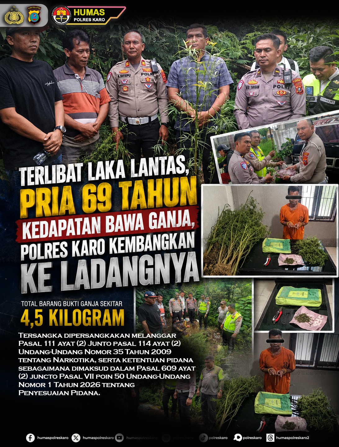 Terlibat Laka Lantas, Pria 69 Tahun Kedapatan Bawa Ganja, Polres Karo Kembangkan ke Ladangnya
