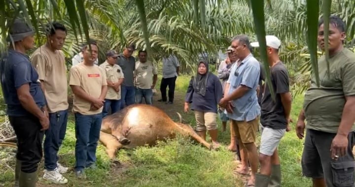 berita-pilihan-foto